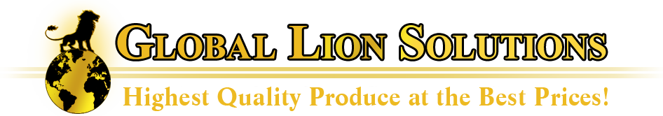 Global Lion Solutions