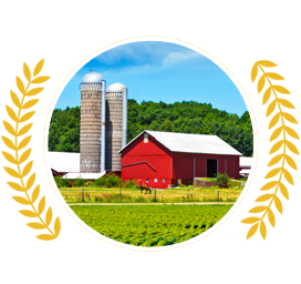 Maryland's Small Business Reserve since 2014